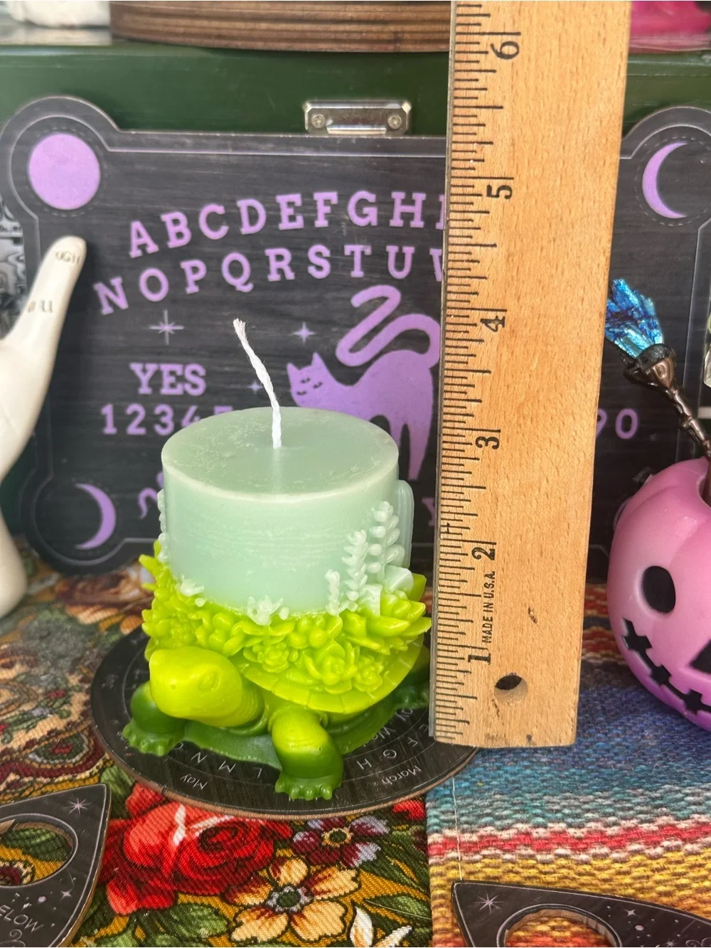 Succulent Turtle Candle